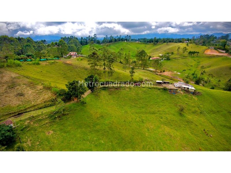 Lote en Venta, Vereda El Rosal, Rionegro - Vista 4