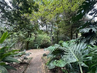 Apartamento de 3 alcobas en venta en El Poblado, Medellín, 135 m² · foto 4 de 20