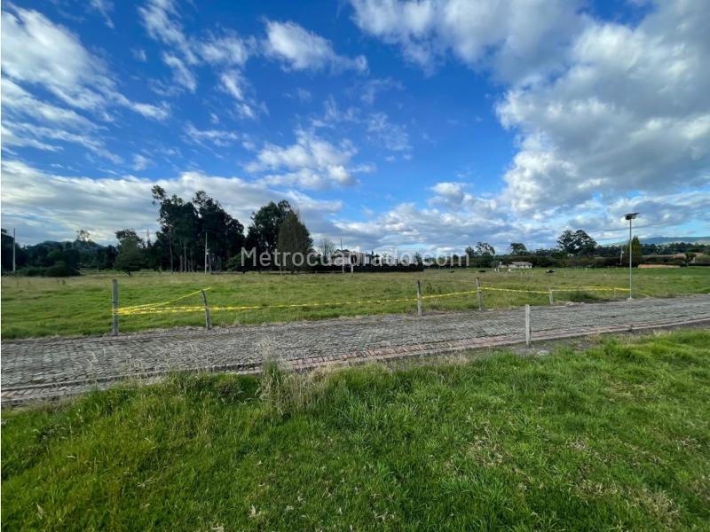 Lote en Venta, Fonqueta, Chía - Vista 4