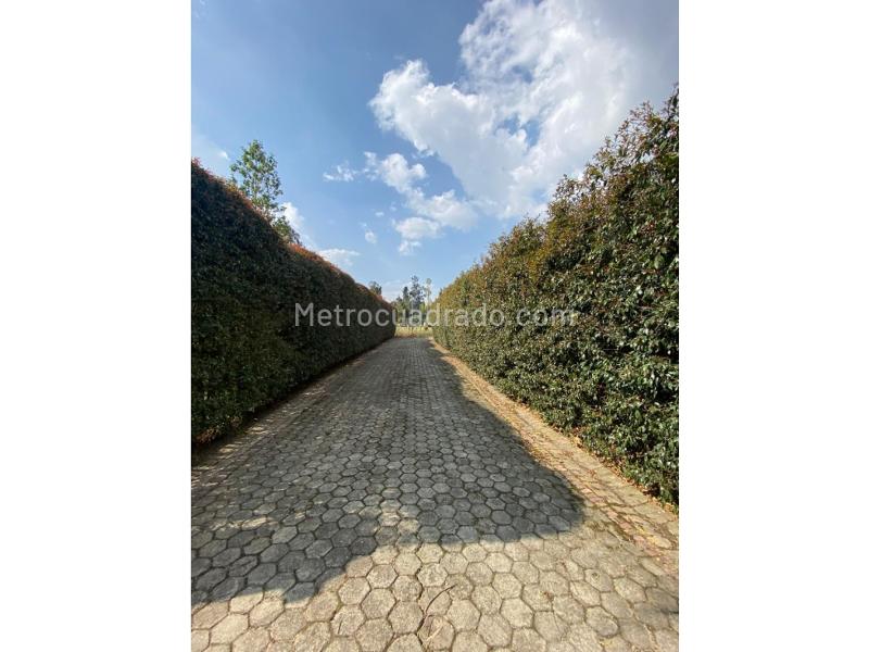 Lote en Venta, Fonqueta, Chía - Más