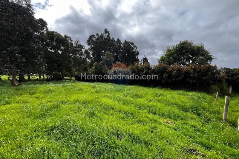 Lote en Venta, Vererda Fonqueta, Chía - Vista 2