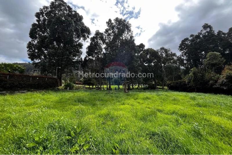 Lote en Venta, Vererda Fonqueta, Chía - Vista 3