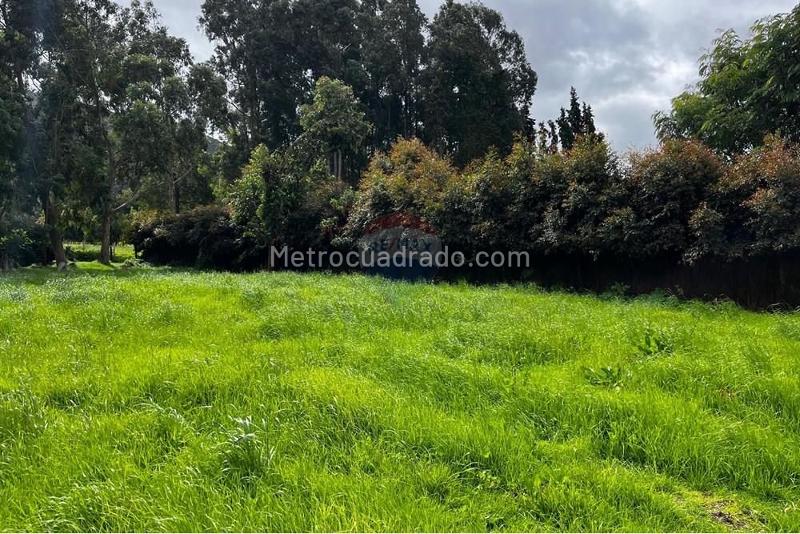 Lote en Venta, Vererda Fonqueta, Chía - Vista 5