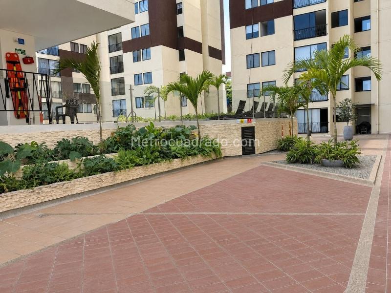 Piso – Ibagué - Más