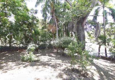 Casa de 5 alcobas en venta en Condominio Campestre El Peñon, Girardot, 300 m² · foto 19 de 20