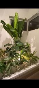 Casa en venta en Barcelona De Indias, Cartagena · foto 11 de 20