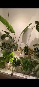Casa en venta en Barcelona De Indias, Cartagena · foto 12 de 20
