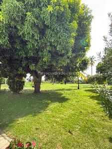 Casa de 4 alcobas en venta en Condominio Campestre El Peñon, Girardot, 500 m² · foto 16 de 18