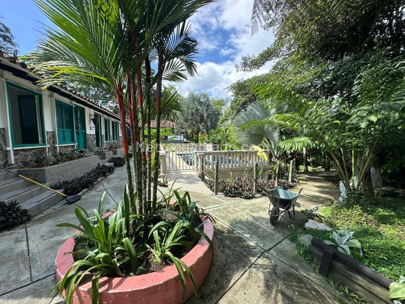 Casa – La Tebaida, Valle - Vista 5