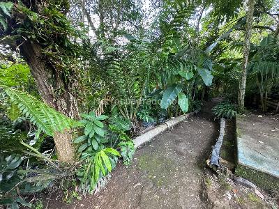 Casa de 5 alcobas en venta en El Caimo, Armenia · foto 11 de 20