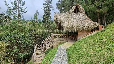 Casa de 5 alcobas en venta en Envigado, 480 m² · foto 13 de 13