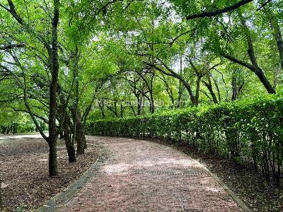 Casa de 4 alcobas en venta en Girardot, Girardot, 300 m² · foto 17 de 20