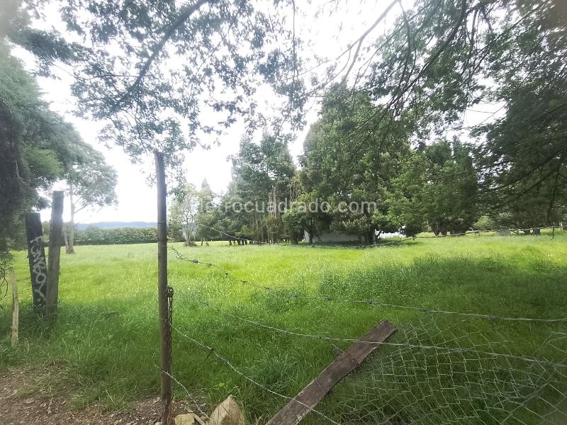 Lote en Venta, Canelón, Cajicá - Vista 3