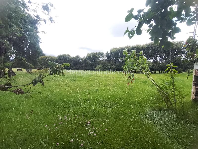 Lote en Venta, Canelón, Cajicá - Vista 5