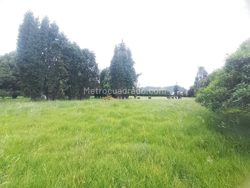 Lote en Venta, Canelón, Cajicá - Más