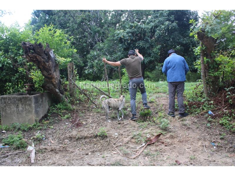 Lote en Venta, Masinga, Santa Marta - Vista 4