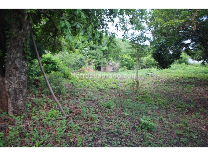 Lote en Venta, Masinga, Santa Marta - Vista 5