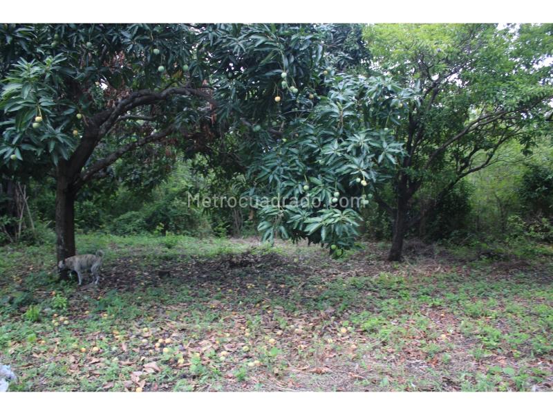 Lote en Venta, Masinga, Santa Marta - Vista 4