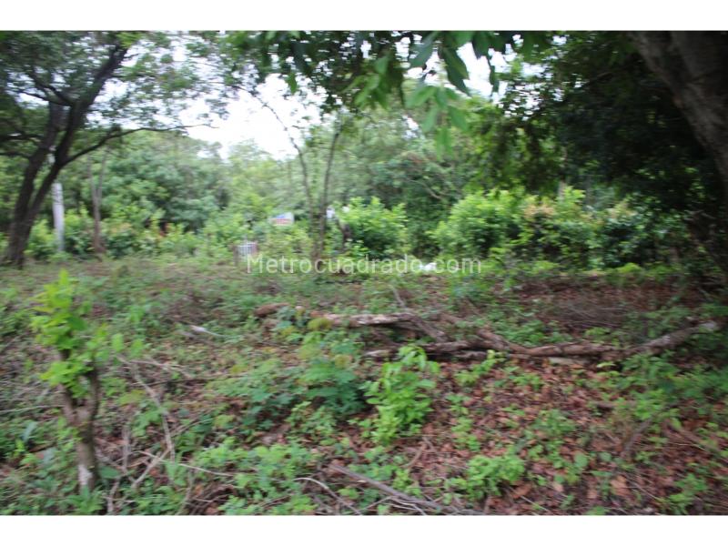 Lote en Venta, Masinga, Santa Marta - Vista 5