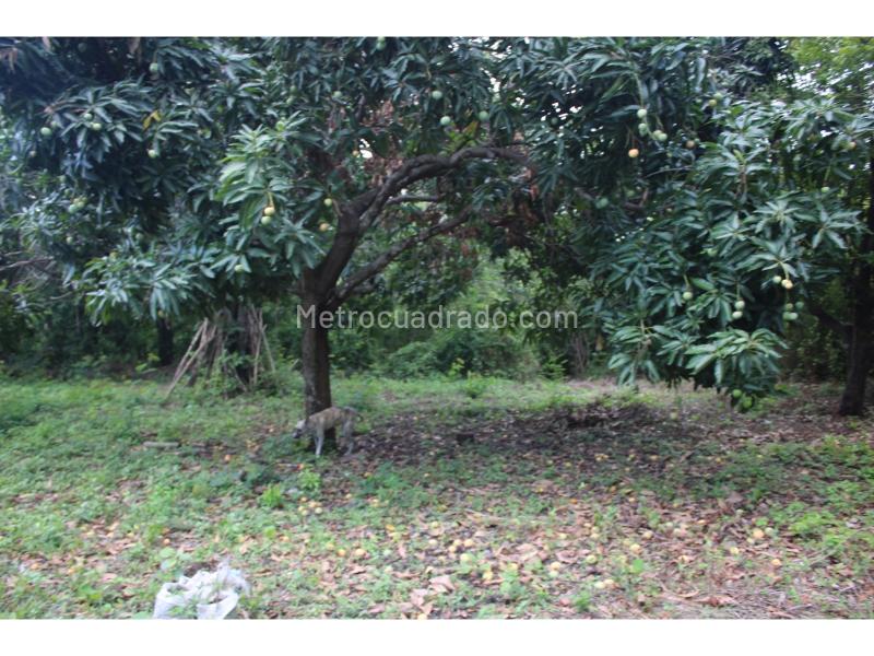 Lote en Venta, Masinga, Santa Marta - Vista 3