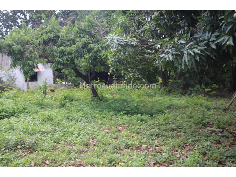 Lote en Venta, Masinga, Santa Marta - Vista 4
