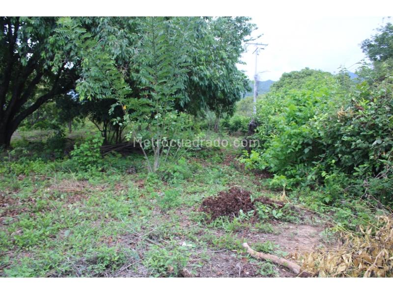 Lote en Venta, Masinga, Santa Marta - Más