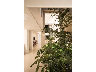 Casa de 4 alcobas en venta en Santa Teresita, Cali, 375 m² · foto 8 de 20