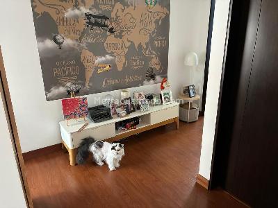 Apartamento en venta en San Patricio, Bogotá · foto 16 de 20