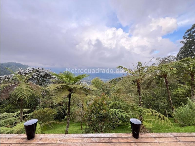 4BR House in Fizebad (18000 m²) - 3