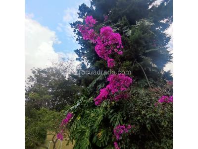 Casa de 5 alcobas en venta en El Tablazo, Rionegro, 240 m² · foto 18 de 20