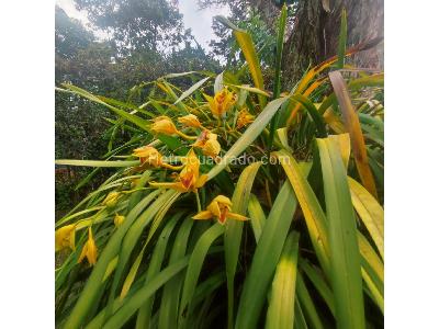 Casa de 5 alcobas en venta en El Tablazo, Rionegro, 240 m² · foto 19 de 20