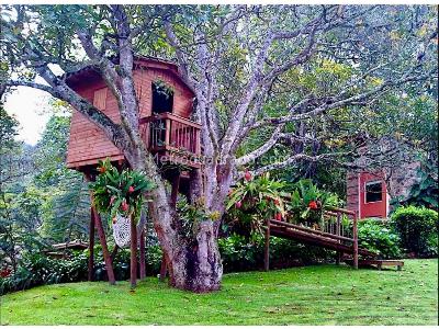 Casa de 5 alcobas en venta en Cabeceras, Rionegro · foto 11 de 20