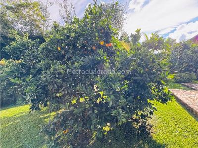 Casa de 5 alcobas en arriendo en Llanogrande, Rionegro, 900 m² · foto 11 de 20