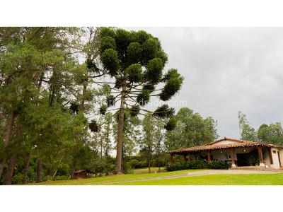 House for rent in Llanogrande, Rionegro
