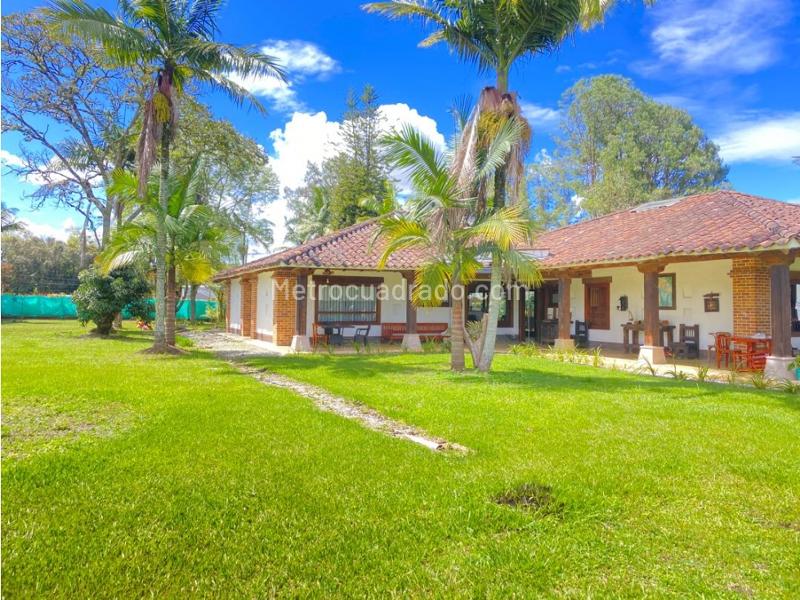 4BR House in Llanogrande (8000 m²) - 2
