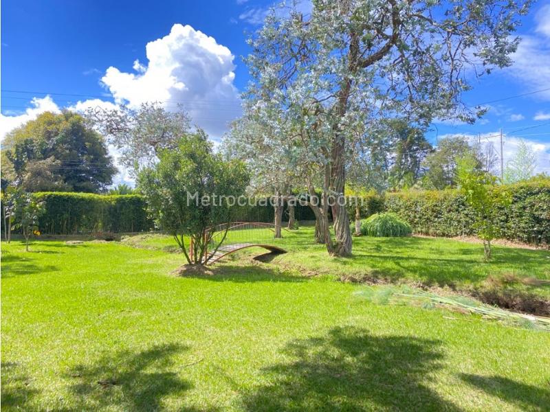 4BR House in Llanogrande (8000 m²) - 4