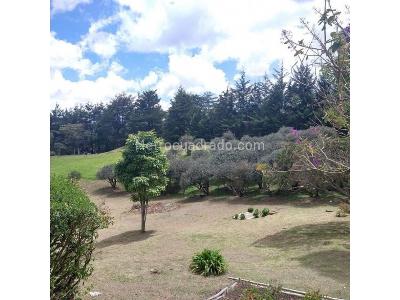 Casa de 3 alcobas en venta en Alcala, Envigado · foto 16 de 20