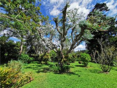Casa de 4 alcobas en venta en El Tablazo, Rionegro, 300 m² · foto 12 de 15