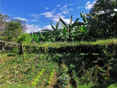 Casa de 4 alcobas en venta en El Tablazo, Rionegro, 300 m² · foto 14 de 15