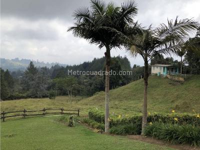 Casa de 4 alcobas en venta en Vereda Sajonia, Rionegro, 250 m² · foto 11 de 18