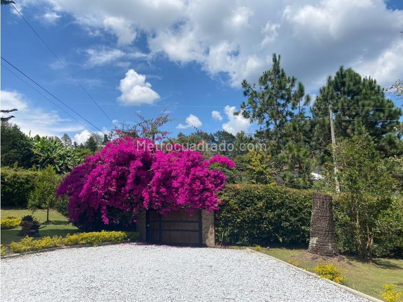 Countryside House for Rent in El Retiro - 5