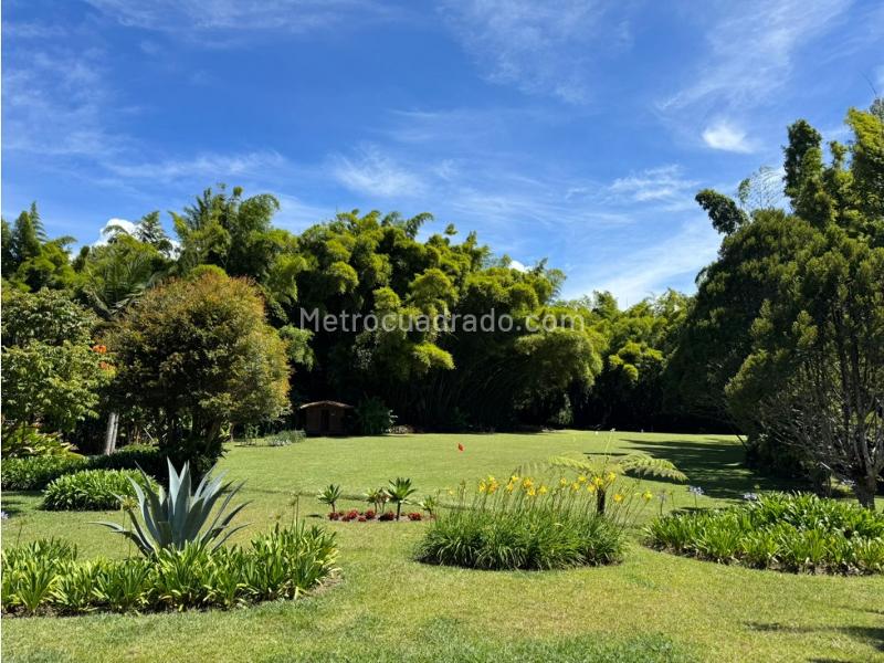 Spacious 3BR House for Rent in Cuatro Esquinas, Rionegro - 6