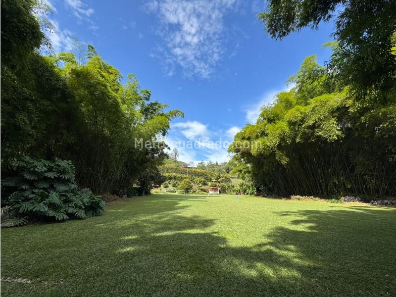 Spacious 3BR House for Rent in Cuatro Esquinas, Rionegro - 7