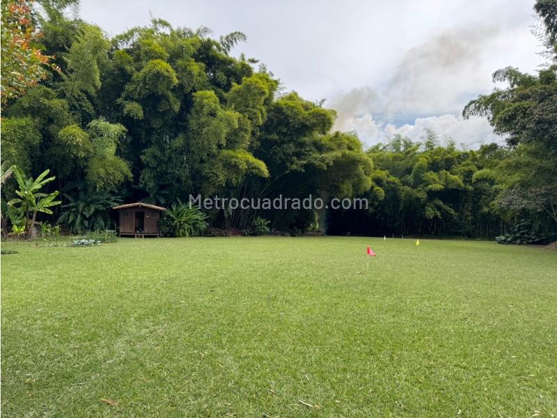 Spacious 3BR House for Rent in Cuatro Esquinas, Rionegro - 8