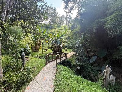 Casa de 3 alcobas en venta en Via San Antonio La Ceja, Rionegro · foto 2 de 20