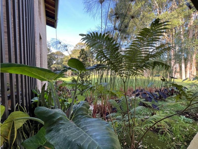 5BR House in Via San Antonio La Ceja (5300 m²) - 2