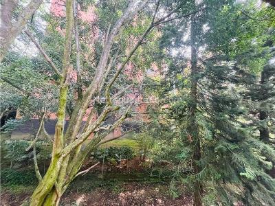 Apartamento de 4 alcobas en venta en El Poblado, Medellín, 165 m² · foto 20 de 20