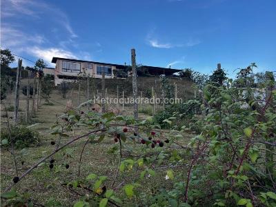 Casa de 4 alcobas en venta en Carmen De Viboral, Rionegro · foto 16 de 20