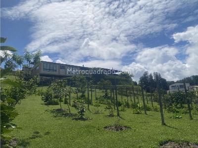 Casa de 4 alcobas en arriendo en Carmen De Viboral, Rionegro · foto 15 de 20