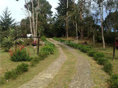 Casa de 2 alcobas en venta en Vereda Pantanillo, Envigado · foto 16 de 17